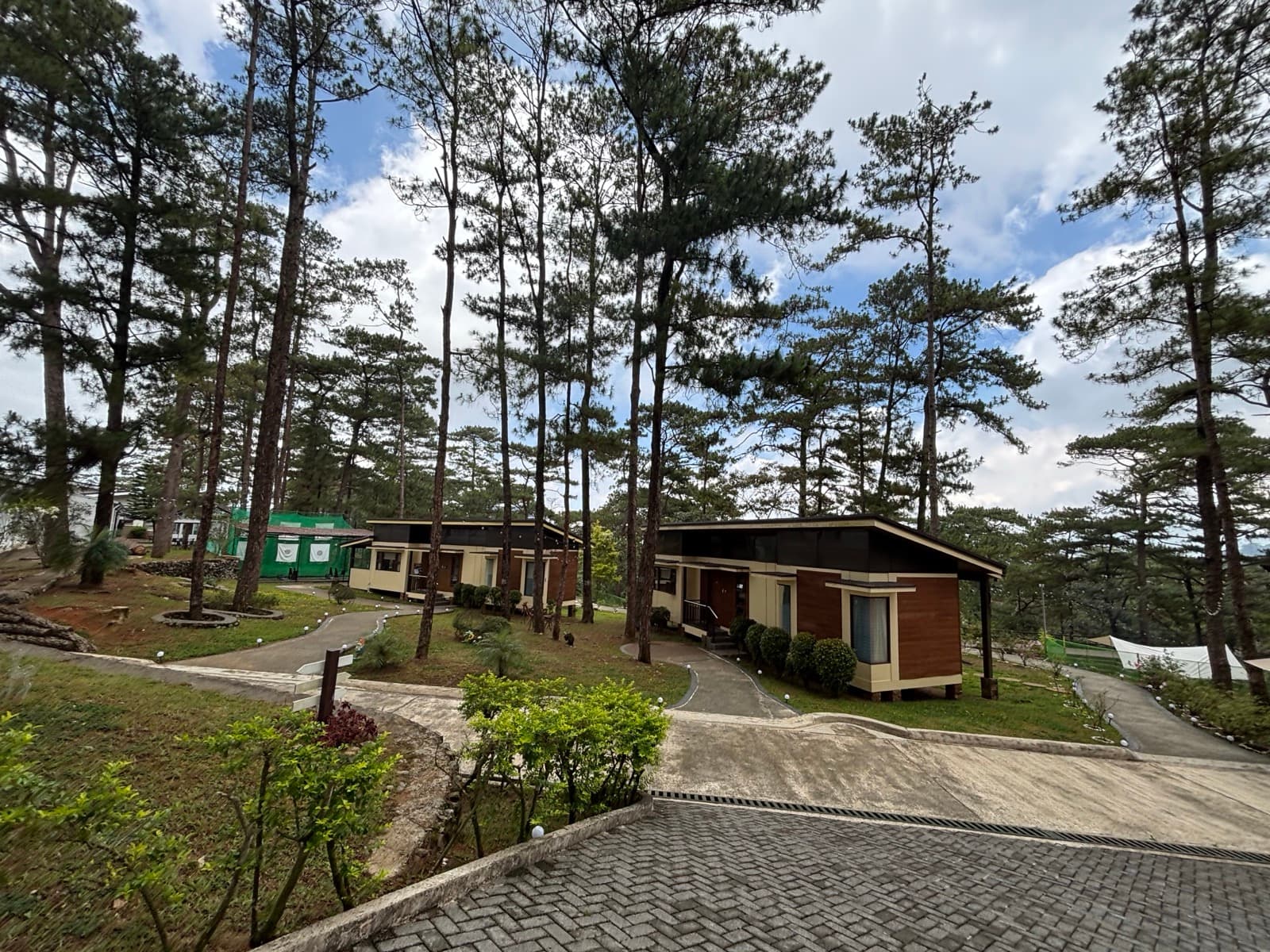 A&J Eco 校区的松林独栋小屋：几栋带门廊的木屋沿坡地散开，之间由碎石步道串起，四周是碧瑶标志性的高大松树