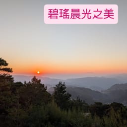 Y.M YANG实拍 3