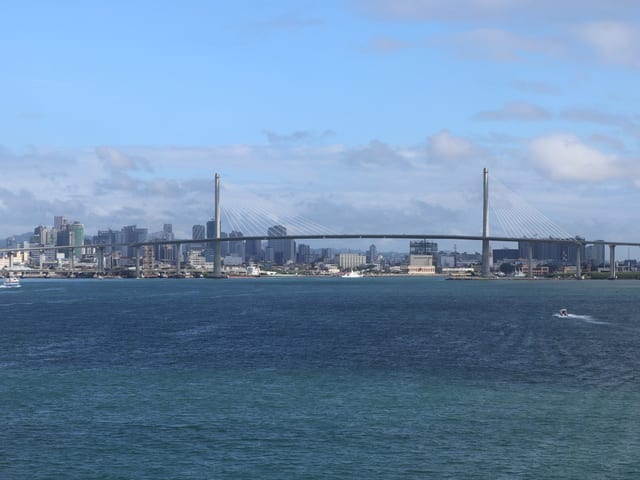 宿务城市天际线与 CCLEX 跨海大桥